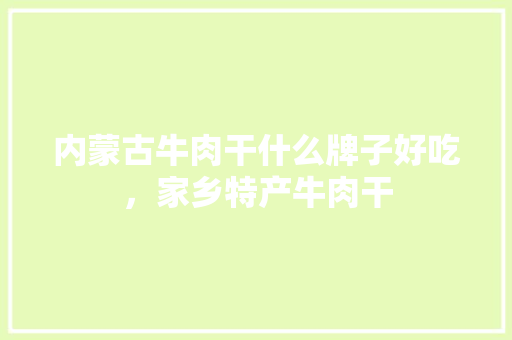 内蒙古牛肉干什么牌子好吃，家乡特产牛肉干