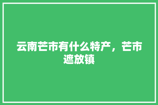 云南芒市有什么特产，芒市遮放镇 云南芒市有什么特产，芒市遮放镇 家居窍门