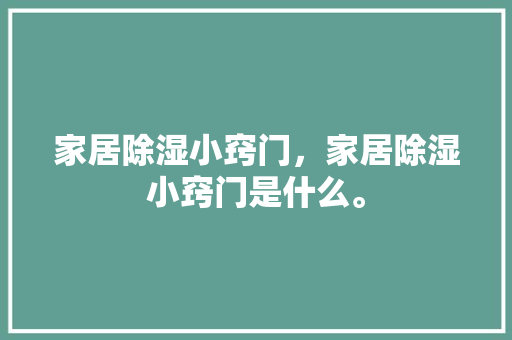 家居除湿小窍门，家居除湿小窍门是什么。 家居除湿小窍门，家居除湿小窍门是什么。 家居窍门