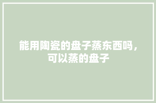 能用陶瓷的盘子蒸东西吗，可以蒸的盘子 能用陶瓷的盘子蒸东西吗，可以蒸的盘子 生活指南