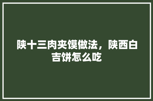 陕十三肉夹馍做法，陕西白吉饼怎么吃 陕十三肉夹馍做法，陕西白吉饼怎么吃 旅行资讯