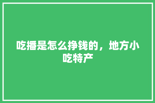 吃播是怎么挣钱的，地方小吃特产
