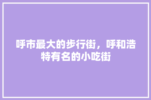 呼市最大的步行街，呼和浩特有名的小吃街 呼市最大的步行街，呼和浩特有名的小吃街 生活指南