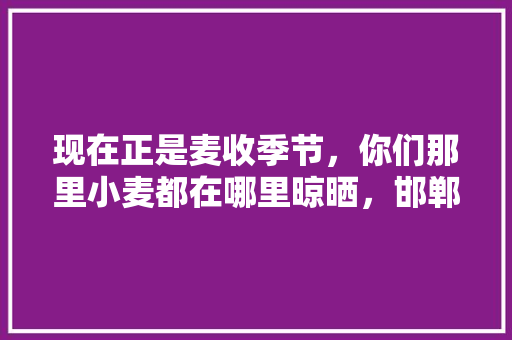 现在正是麦收季节,你们那里小麦都在哪里晾晒,邯郸特色美食小吃 健康建议 现在正是麦收季节,你们那里小麦都在哪里晾晒,邯郸特色美食小吃 现在正是麦收季节,你们那里小麦都在哪里晾晒,邯郸特色美食小吃 健康建议