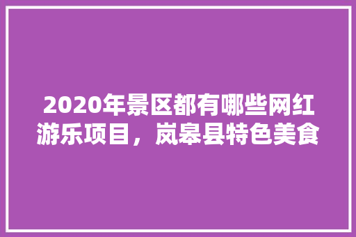 2020年景区都有哪些网红游乐项目，岚皋县特色美食攻略