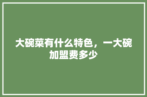 大碗菜有什么特色，一大碗加盟费多少