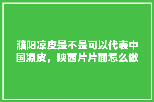 濮阳凉皮是不是可以代表中国凉皮，陕西片片面怎么做 濮阳凉皮是不是可以代表中国凉皮，陕西片片面怎么做 家居窍门