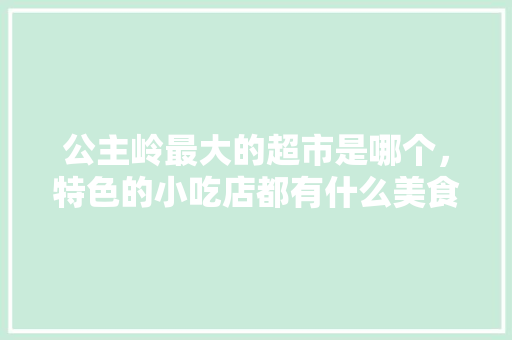 公主岭最大的超市是哪个，特色的小吃店都有什么美食