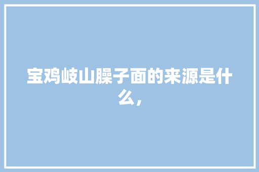 宝鸡岐山臊子面的来源是什么，
