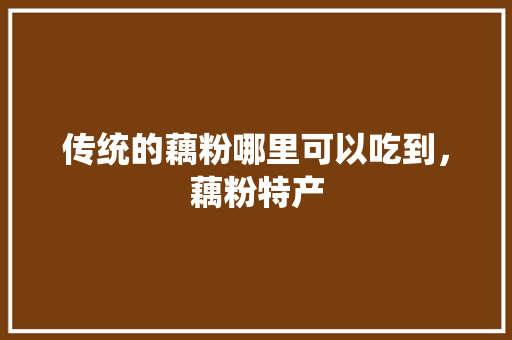 传统的藕粉哪里可以吃到，藕粉特产 传统的藕粉哪里可以吃到，藕粉特产 家居窍门