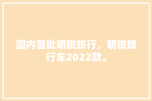 国内首批明锐旅行，明锐旅行车2022款。