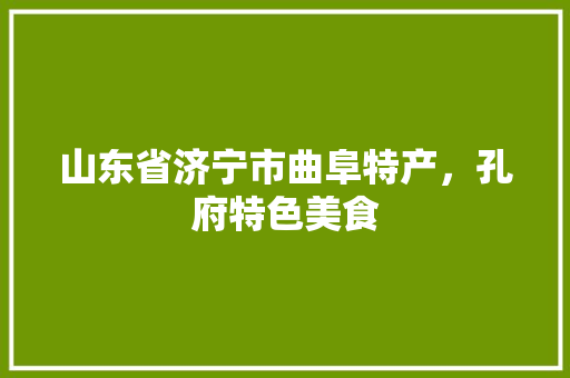 山东省济宁市曲阜特产，孔府特色美食