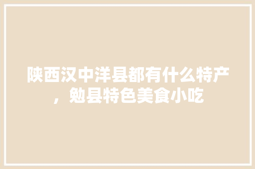 陕西汉中洋县都有什么特产，勉县特色美食小吃
