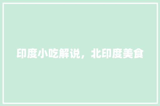 印度小吃解说，北印度美食