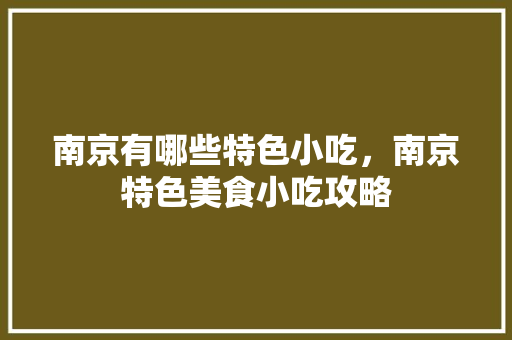 南京有哪些特色小吃，南京特色美食小吃攻略