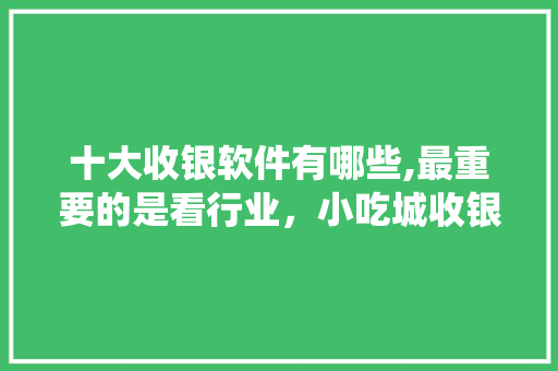 十大收银软件有哪些,最重要的是看行业，小吃城收银系统方案 十大收银软件有哪些,最重要的是看行业，小吃城收银系统方案 旅行资讯