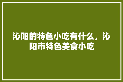 沁阳的特色小吃有什么，沁阳市特色美食小吃
