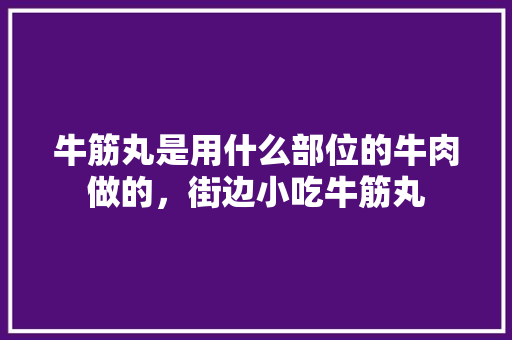 牛筋丸是用什么部位的牛肉做的，街边小吃牛筋丸