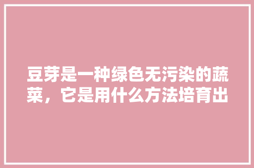 豆芽是一种绿色无污染的蔬菜，它是用什么方法培育出来的呢，豆芽美食介绍 豆芽是一种绿色无污染的蔬菜，它是用什么方法培育出来的呢，豆芽美食介绍 旅行资讯