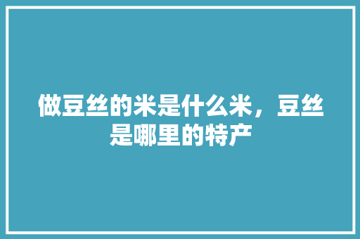 做豆丝的米是什么米，豆丝是哪里的特产