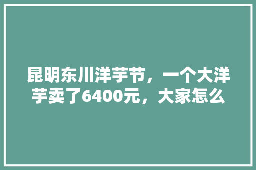 昆明东川洋芋节，一个大洋芋卖了6400元，大家怎么看，中国最贵的美食 昆明东川洋芋节，一个大洋芋卖了6400元，大家怎么看，中国最贵的美食 旅行资讯