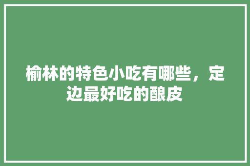 榆林的特色小吃有哪些，定边最好吃的酿皮 榆林的特色小吃有哪些，定边最好吃的酿皮 生活指南