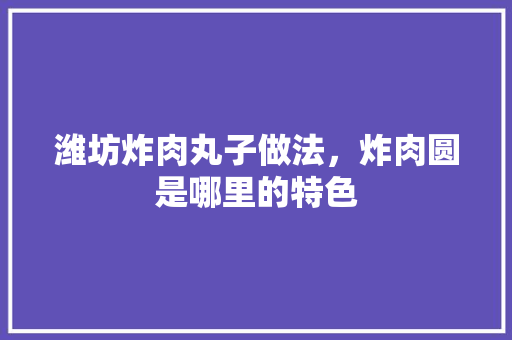 潍坊炸肉丸子做法，炸肉圆是哪里的特色 潍坊炸肉丸子做法，炸肉圆是哪里的特色 美食推荐
