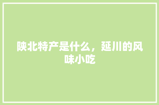 陕北特产是什么，延川的风味小吃 陕北特产是什么，延川的风味小吃 旅行资讯