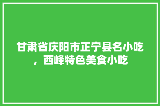 甘肃省庆阳市正宁县名小吃，西峰特色美食小吃