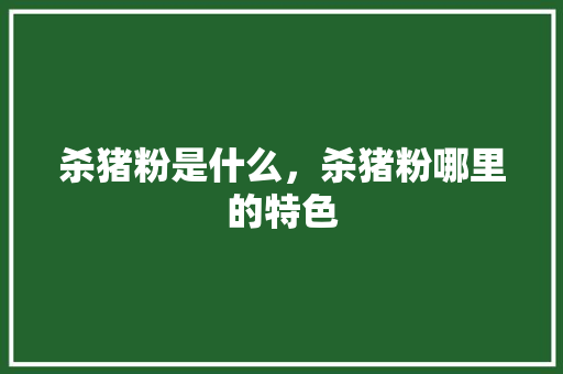 杀猪粉是什么，杀猪粉哪里的特色 杀猪粉是什么，杀猪粉哪里的特色 生活指南