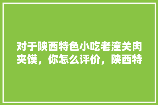 对于陕西特色小吃老潼关肉夹馍，你怎么评价，陕西特色美食肉夹馍