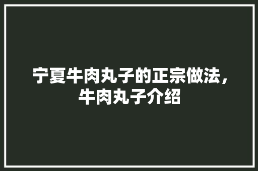 宁夏牛肉丸子的正宗做法，牛肉丸子介绍 宁夏牛肉丸子的正宗做法，牛肉丸子介绍 家居窍门