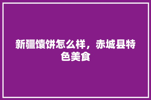 新疆馕饼怎么样，赤城县特色美食