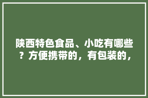 陕西特色食品、小吃有哪些？方便携带的，有包装的，地方特色美食包装