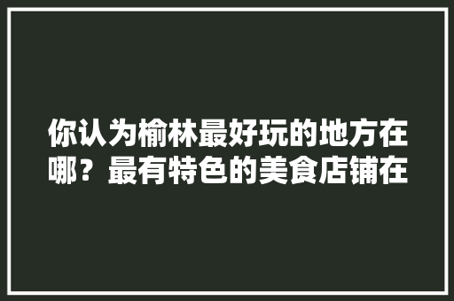 你认为榆林最好玩的地方在哪？最有特色的美食店铺在哪，有特色的小吃店名字 你认为榆林最好玩的地方在哪？最有特色的美食店铺在哪，有特色的小吃店名字 健康建议
