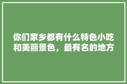 你们家乡都有什么特色小吃和美丽景色，最有名的地方小吃 你们家乡都有什么特色小吃和美丽景色，最有名的地方小吃 家居窍门