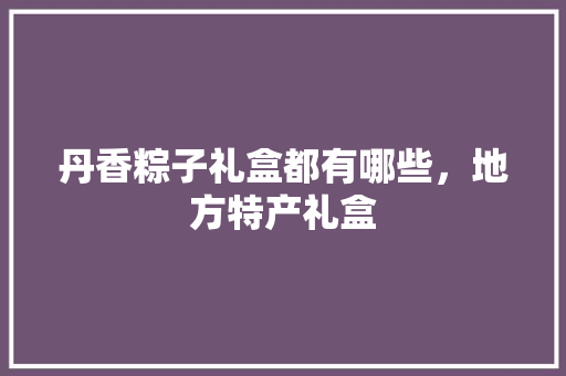 丹香粽子礼盒都有哪些，地方特产礼盒