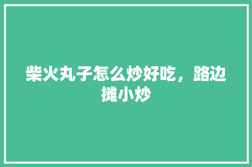 柴火丸子怎么炒好吃，路边摊小炒