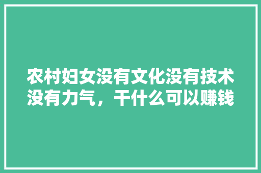 农村妇女没有文化没有技术没有力气，干什么可以赚钱养家糊口呢，开心夫妇 农村妇女没有文化没有技术没有力气，干什么可以赚钱养家糊口呢，开心夫妇 美食推荐