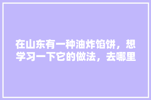 在山东有一种油炸馅饼，想学习一下它的做法，去哪里学习比较好，临沂美食小吃培训 在山东有一种油炸馅饼，想学习一下它的做法，去哪里学习比较好，临沂美食小吃培训 家居窍门