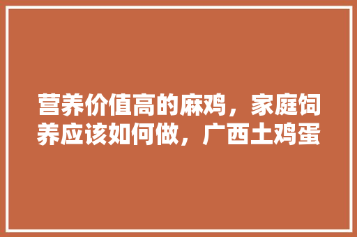 营养价值高的麻鸡,家庭饲养应该如何做,广西土鸡蛋 家居窍门 营养价值高的麻鸡,家庭饲养应该如何做,广西土鸡蛋 营养价值高的麻鸡,家庭饲养应该如何做,广西土鸡蛋 家居窍门