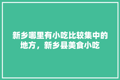 新乡哪里有小吃比较集中的地方，新乡县美食小吃 新乡哪里有小吃比较集中的地方，新乡县美食小吃 家居窍门