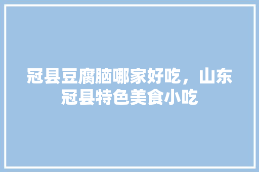 冠县豆腐脑哪家好吃，山东冠县特色美食小吃 冠县豆腐脑哪家好吃，山东冠县特色美食小吃 家居窍门