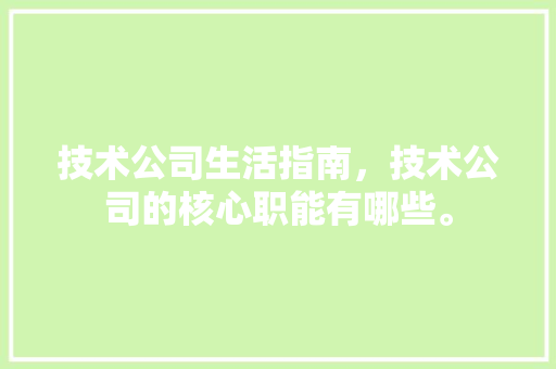 技术公司生活指南，技术公司的核心职能有哪些。 技术公司生活指南，技术公司的核心职能有哪些。 生活指南