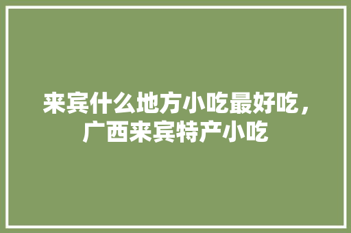 来宾什么地方小吃最好吃，广西来宾特产小吃