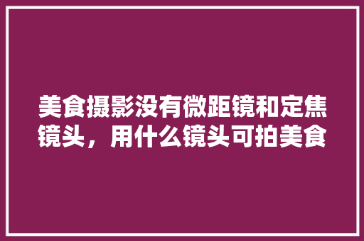 美食摄影没有微距镜和定焦镜头，用什么镜头可拍美食照？该怎么拍？注:相机是C画幅，地方特色美食绘画