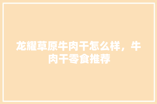 龙耀草原牛肉干怎么样，牛肉干零食推荐