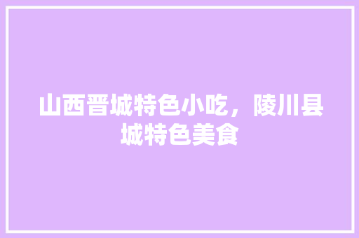 山西晋城特色小吃，陵川县城特色美食