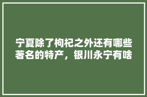 宁夏除了枸杞之外还有哪些著名的特产，银川永宁有啥好吃的