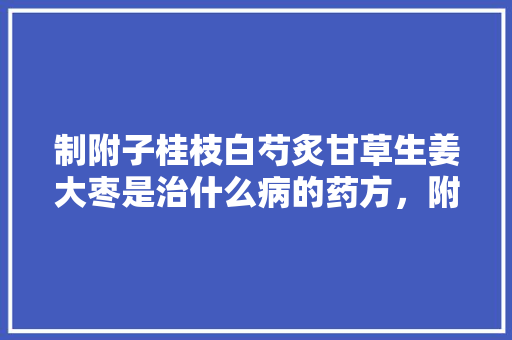 制附子桂枝白芍炙甘草生姜大枣是治什么病的药方，附子汤配方大全 制附子桂枝白芍炙甘草生姜大枣是治什么病的药方，附子汤配方大全 美食推荐